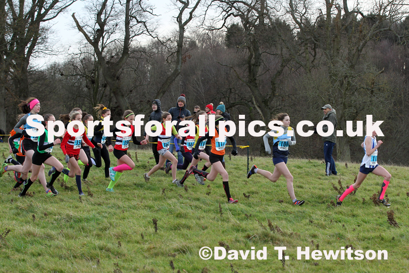 Girls under-13s cross country, 2019 North Eastern Cross Country Champs., Alnwick, Northumberland.  Photo: David T. Hewitson/Sports for All Pics